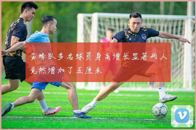 黄蜂队多名球员身高增长显著两人竟然增加了五厘米