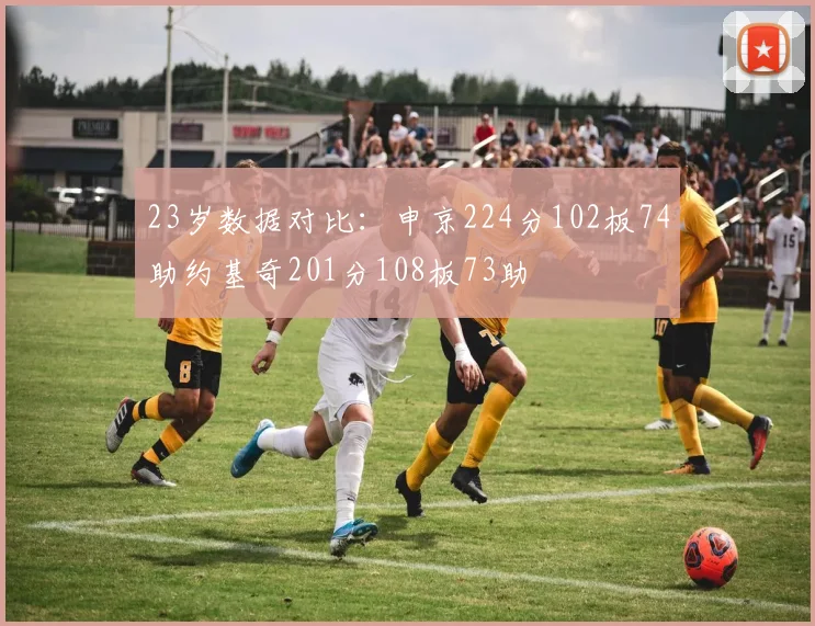 23岁数据对比：申京224分102板74助约基奇201分108板73助